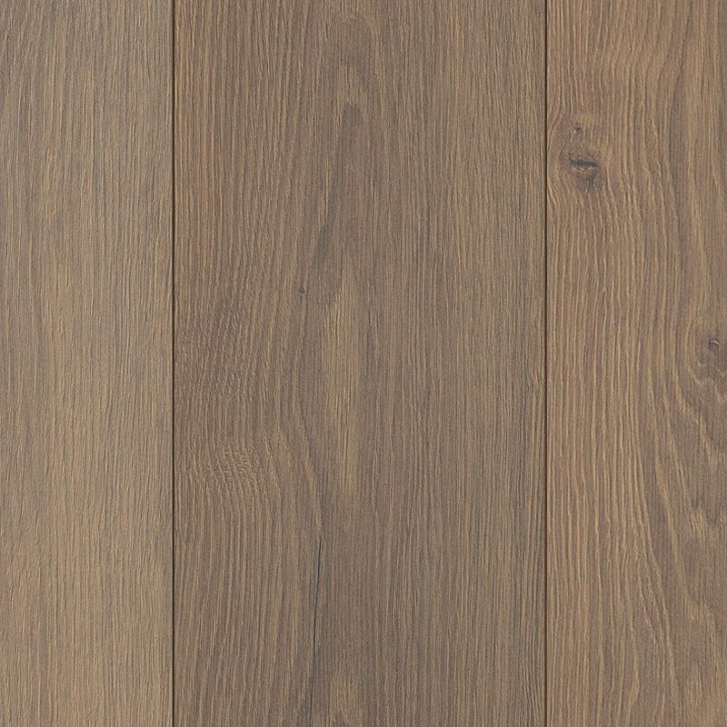 Light truffle oak | All American Flooring