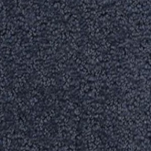 Carpet swatch | All American Flooring