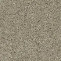 Carpet | All American Flooring