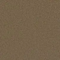 Carpet | All American Flooring