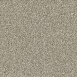 Dreamweaver SP251 - Clam Shell | All American Flooring