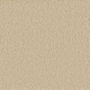 Dreamweaver SP251 - Classic Ivory | All American Flooring