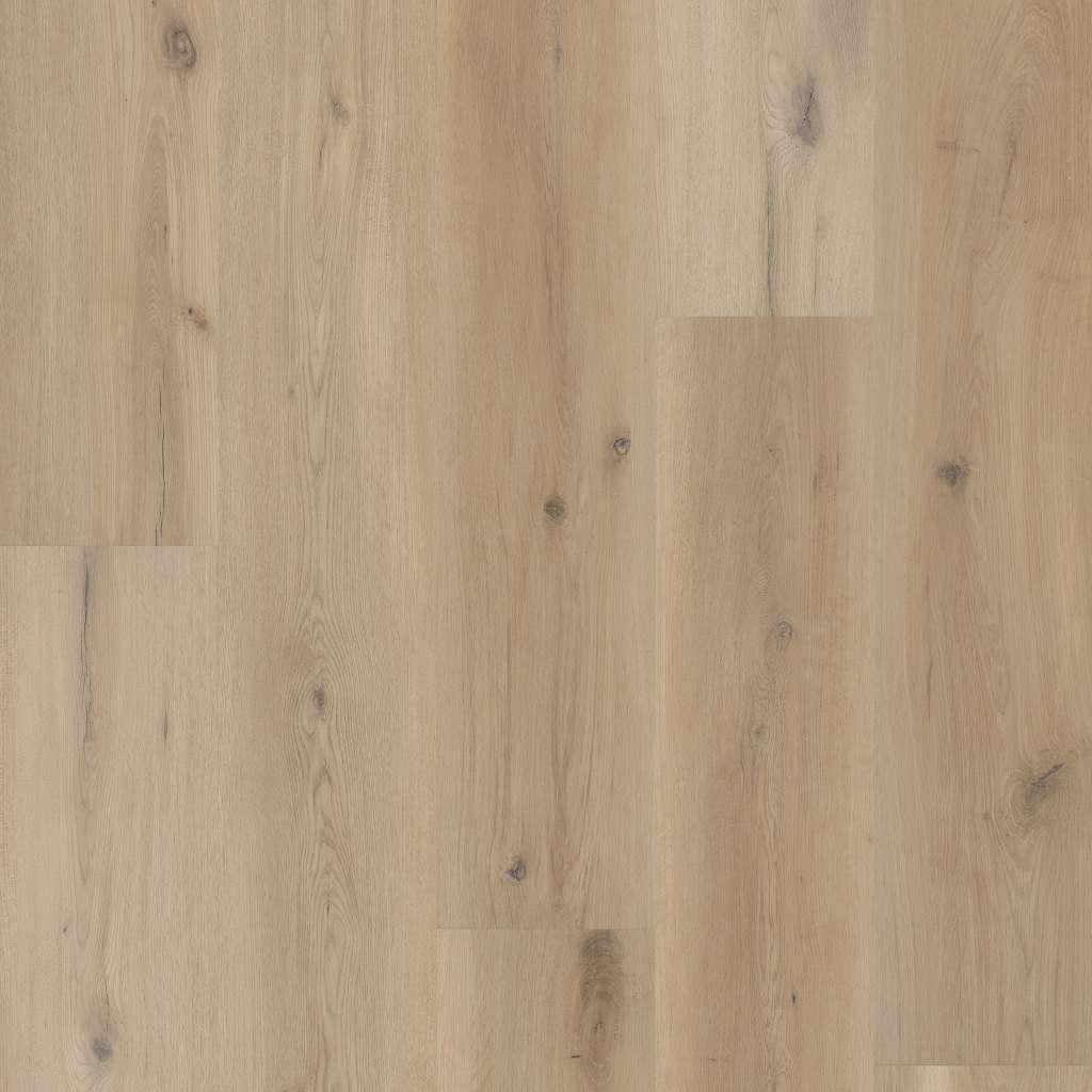 Coretec Originals Premium VV810 | All American Flooring